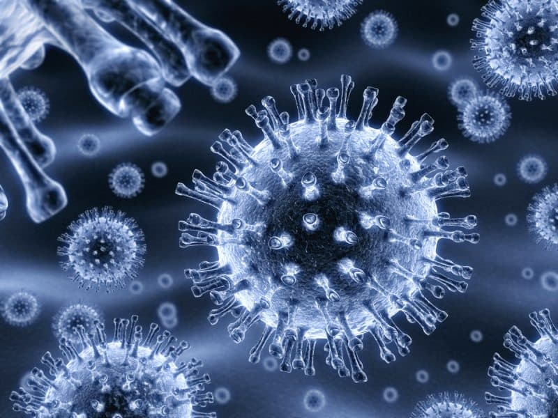 Advaxis Inc (NASDAQ:ADXS) Enters Licensing Agreement with SELLAS