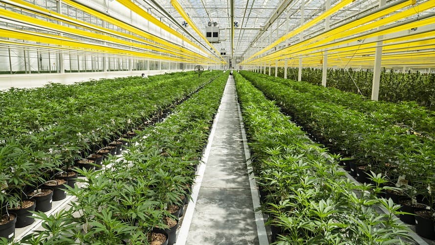 Green Growth Brands Makes A Formal Bid For A Hostile Takeover Of Aphria