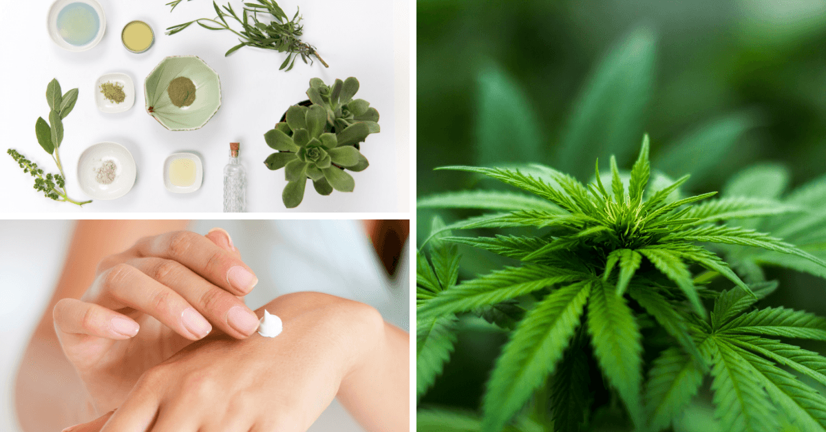 Pressure Bio: The New CBD-Infused Immune Booster Is A Superior Product In A Fast-Growing Market