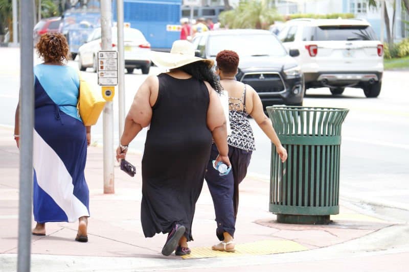 CRISPR controls obesity in mice by amplifying rather than editing genes