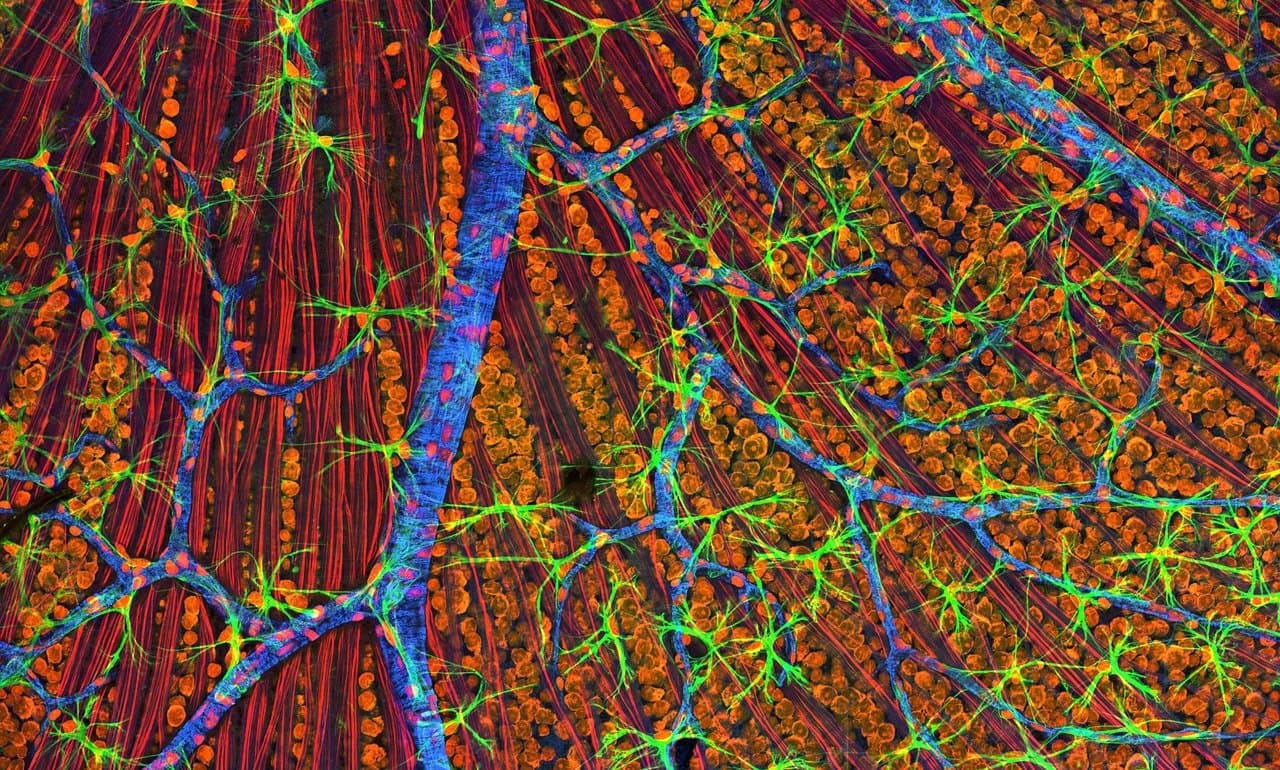 Entrada emerges with $59M to fund the delivery of biologic therapies into the cell
