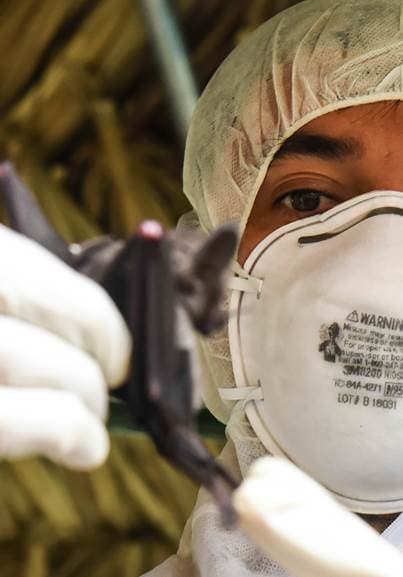 Cutting-edge biotech spurring growth in infectious disease testing