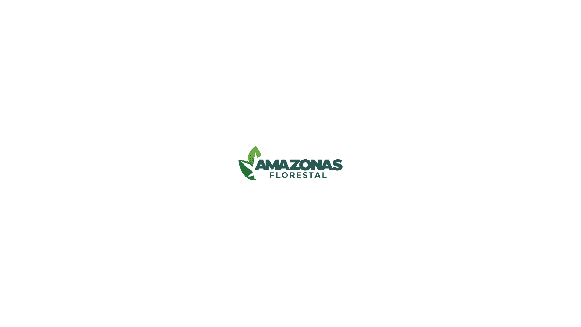 Amazonas Florestal, Ltd. Publishes 2nd Quarter Financials