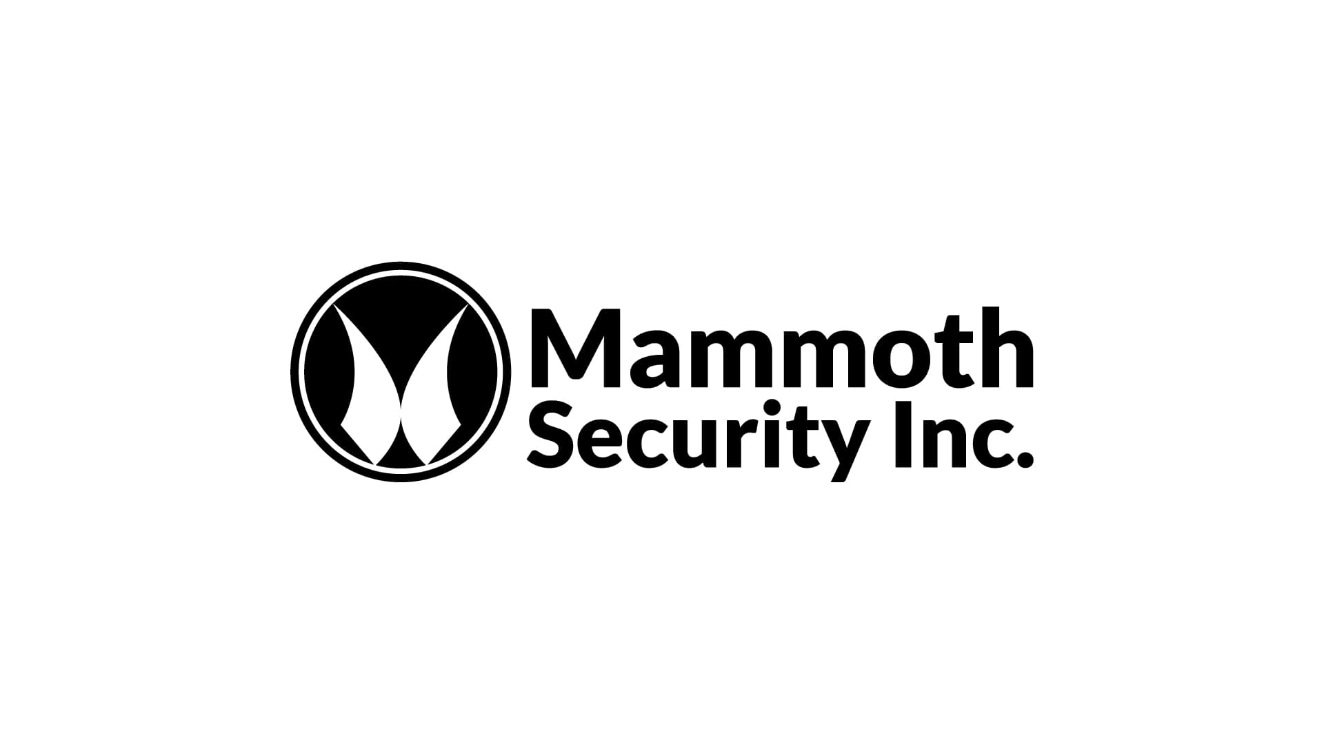 Mammoth Security Inc. West Hartford Offers Professional Security Camera Installation Services in West Hartford, CT
