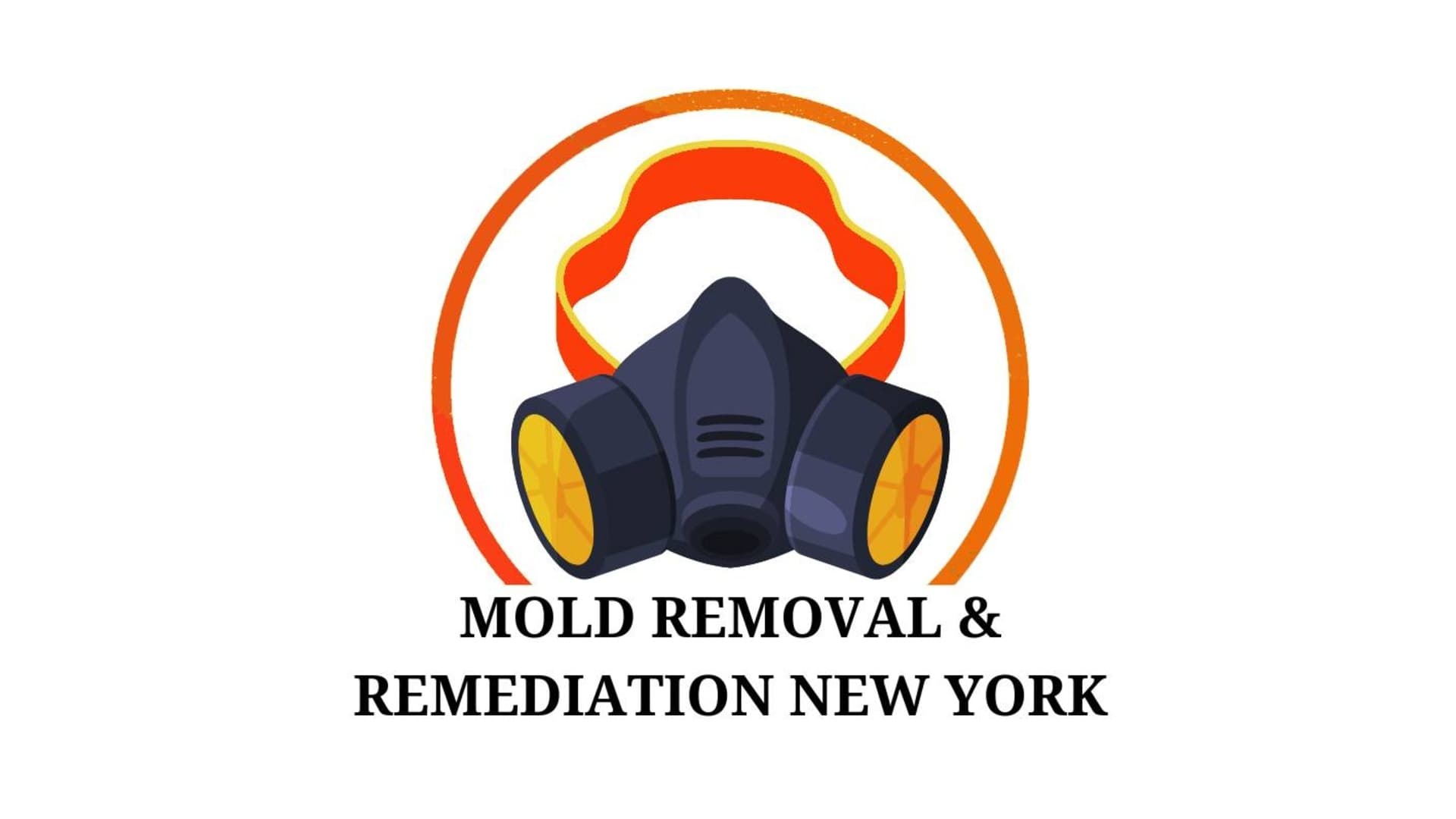 NewMediaWire | Mold Removal & Remediation New York