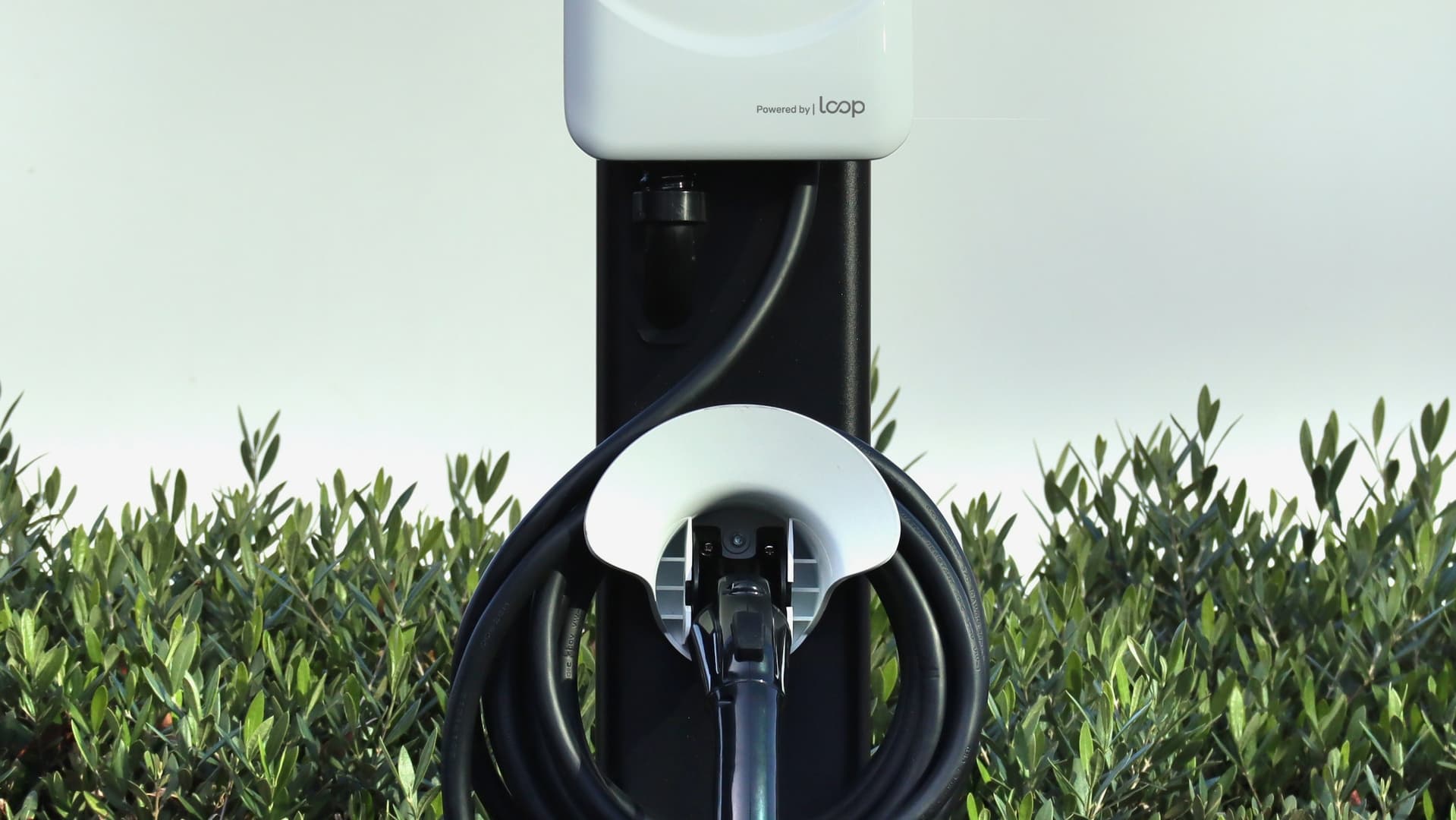 Mullen Automotive Partners With Loop Global to Deploy EV Charging Solutions, Including Public DC Fast Charging Network and Residential Offerings