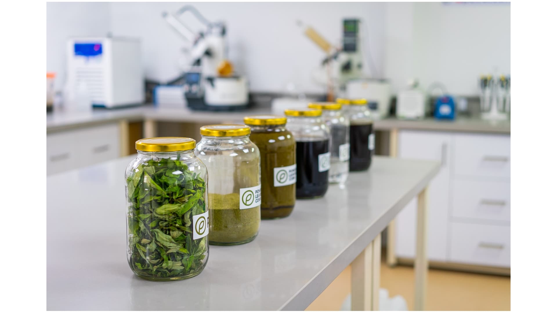 Power Leaves Corp. Completes First Exports of Decocainized Coca Extract to US; Announces Investor Webinar