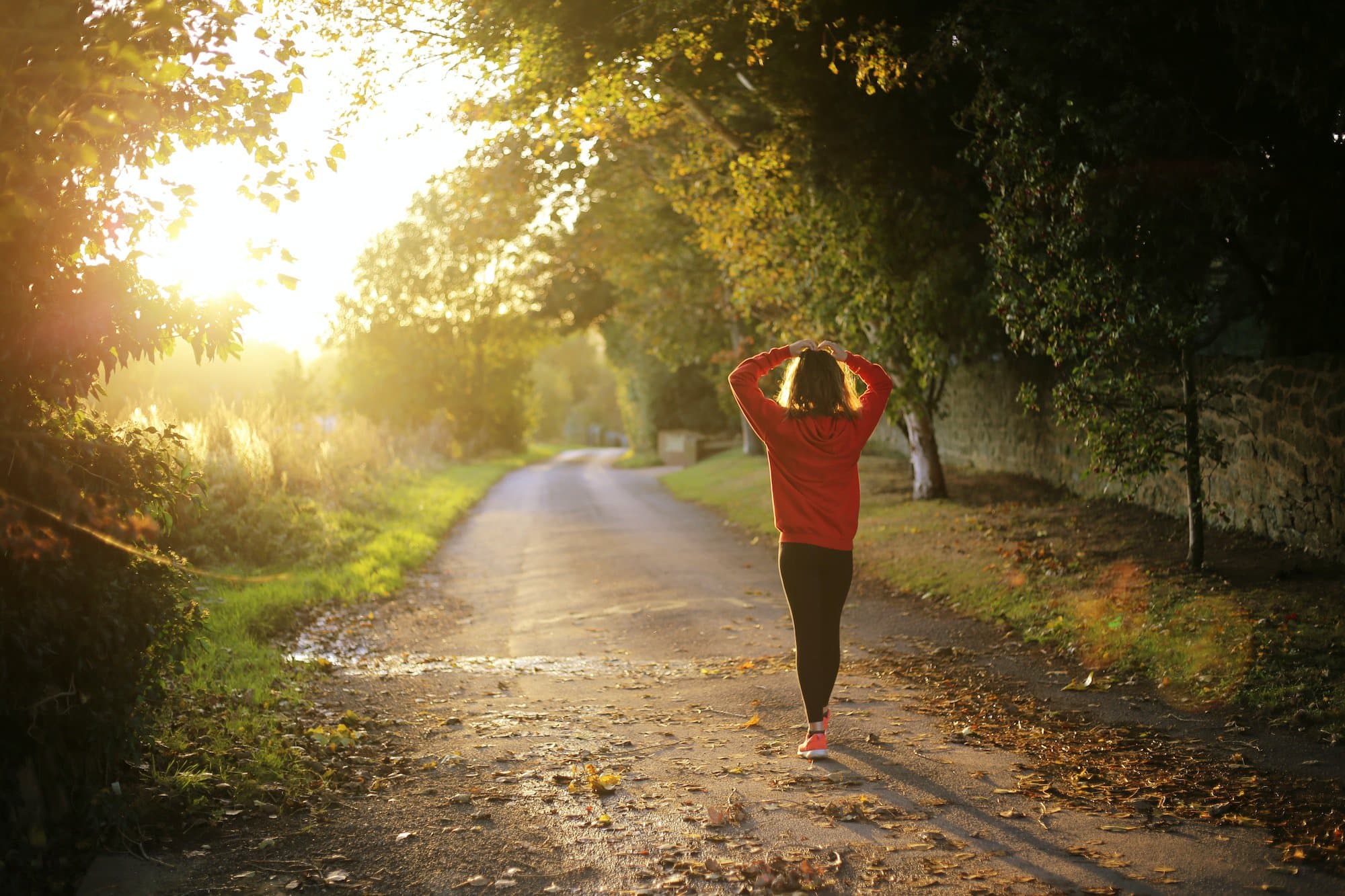 Health & Wellness Trends: Transforming the Healthcare Industry and Investment Landscape cover