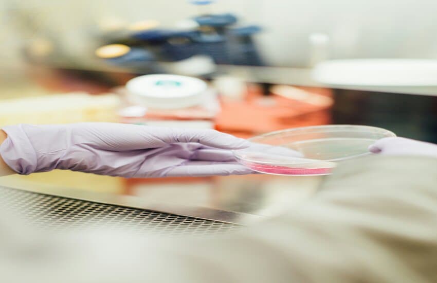 The Biotech Stock Soaring 63% on Unprecedented Cancer Trial Results – Meet Janux Therapeutics cover