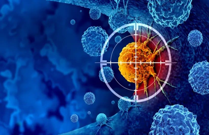 Olema Could Trigger A Big Pharma Bidding War—Here’s Why Pfizer & Novartis Are Already Circling! cover