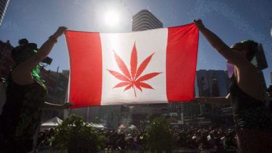5 Days & Counting – Final Preparations Made Before Cannabis Goes Legal In Canada