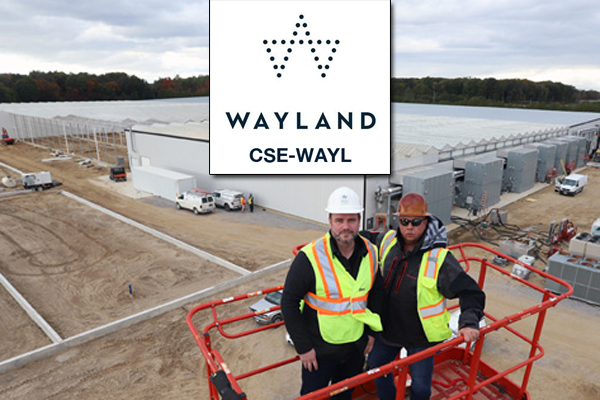 Wayland Group (CSE-WAYL) Making Investors Happy as Price Climbs