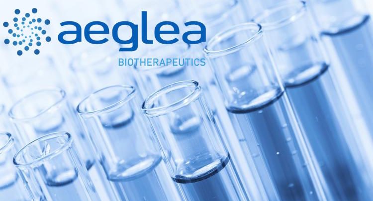 Aeglea Bio Therapeutics Inc (NASDAQ:AGLE) Set to Gain on Lead Candidate Data Presentation