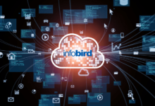 Infobird (IFBD): Spreading Their Wings in Preparation for an Exciting 2022 cover
