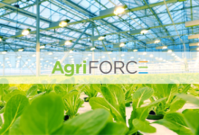 AgriFORCE Receives Patent Allowance from the United States Patent and Trademark Office Related to its Proprietary Process and Technologies for the UN(THINK) Foods Brand cover