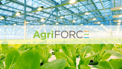 AgriFORCE Receives Patent Allowance from the United States Patent and Trademark Office Related to its Proprietary Process and Technologies for the UN(THINK) Foods Brand cover