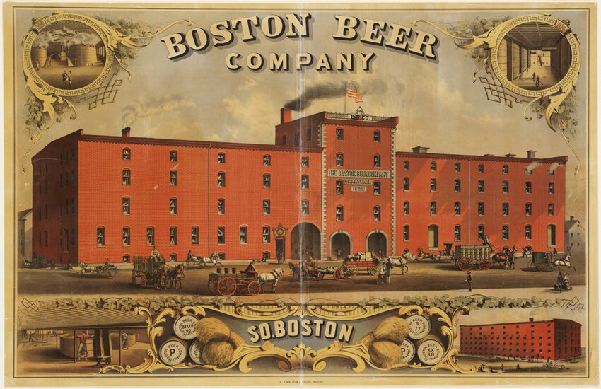 Is Boston Beer the Next Big Buyout? Investors Buzz as Takeover Rumors Swirl! cover