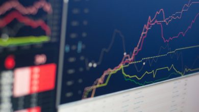 Stock Market Today: Stocks Rally on Strong Jobs Report and Trade Optimism cover