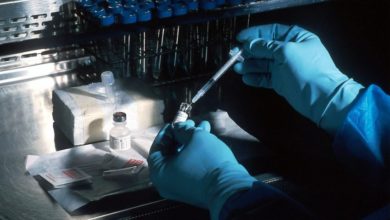 Bristol Myers’ $11.1 Billion Bet on BioNTech: Is Oncology The New Growth Engine? cover
