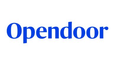 Opendoor Technologies Soared 245% in July: Meme Stocks, Market Conditions, and Investor Optimism cover