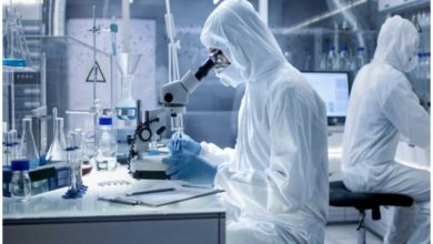 Y-mAbs’ $412 Million Take-Private Offer From SERB Poised To Upset The Oncology Landscape cover