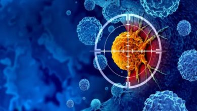 Olema Could Trigger A Big Pharma Bidding War—Here’s Why Pfizer & Novartis Are Already Circling! cover