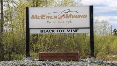 McEwen Grabs Canadian Gold: Can Tartan Lake Fuel Its 2030 Gold Ambitions? cover