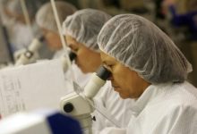 Staar Surgical’s $28 Buyout Premium—Is Alcon Getting A Bargain? cover