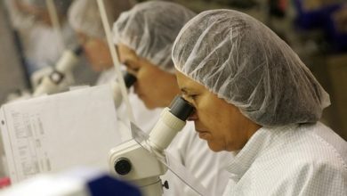 Staar Surgical’s $28 Buyout Premium—Is Alcon Getting A Bargain? cover