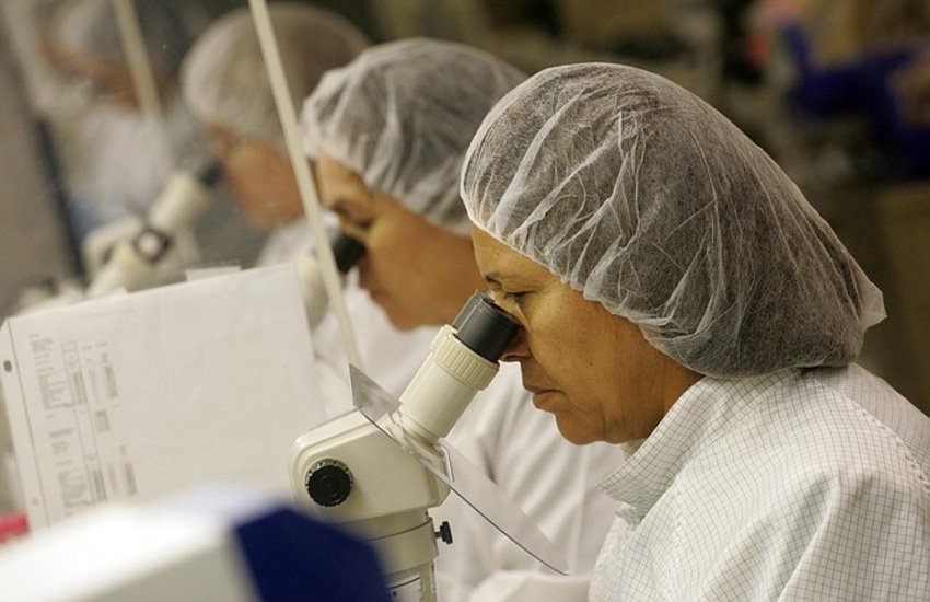 Staar Surgical’s $28 Buyout Premium—Is Alcon Getting A Bargain? cover