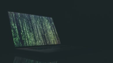black and gray laptop computer turned on